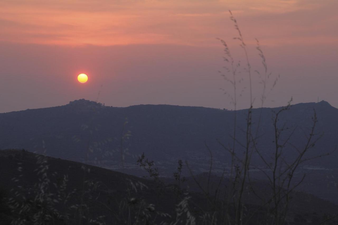 Vacancorse Maison U Canale Speloncato  Buitenkant foto